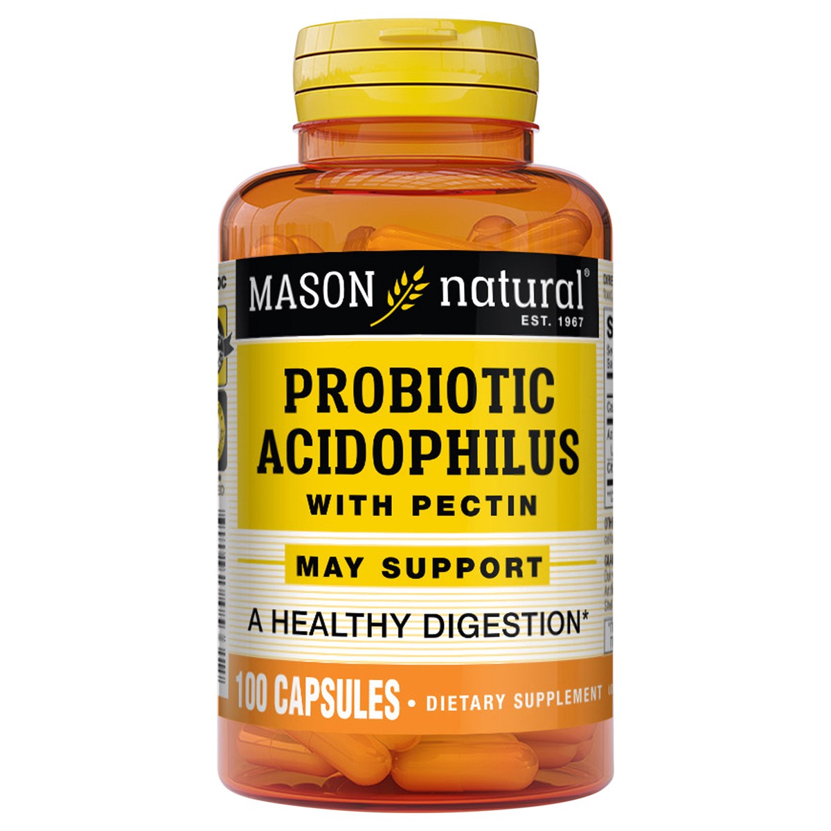 slide 2 of 10, Mason Natural Probiotic Acidophilus with Pectin Capsules, 100 ct