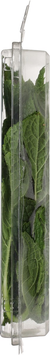 slide 8 of 11, O Organics Mint Fresh 0.5 Ounce - .5 OZ, 0.5 oz