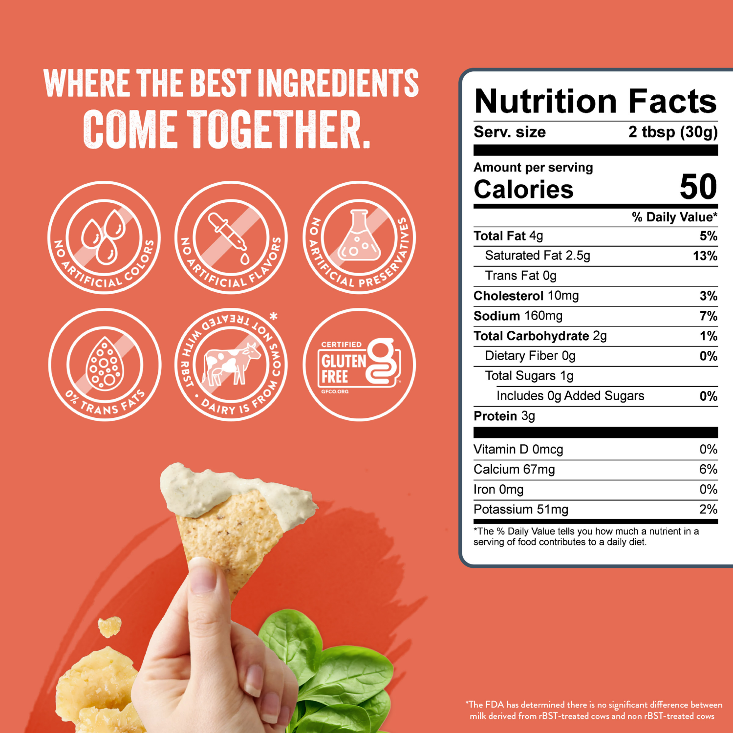 slide 5 of 6, La Terra Fina Spinach & Parmesan Dip & Spread 10 oz, 10 oz
