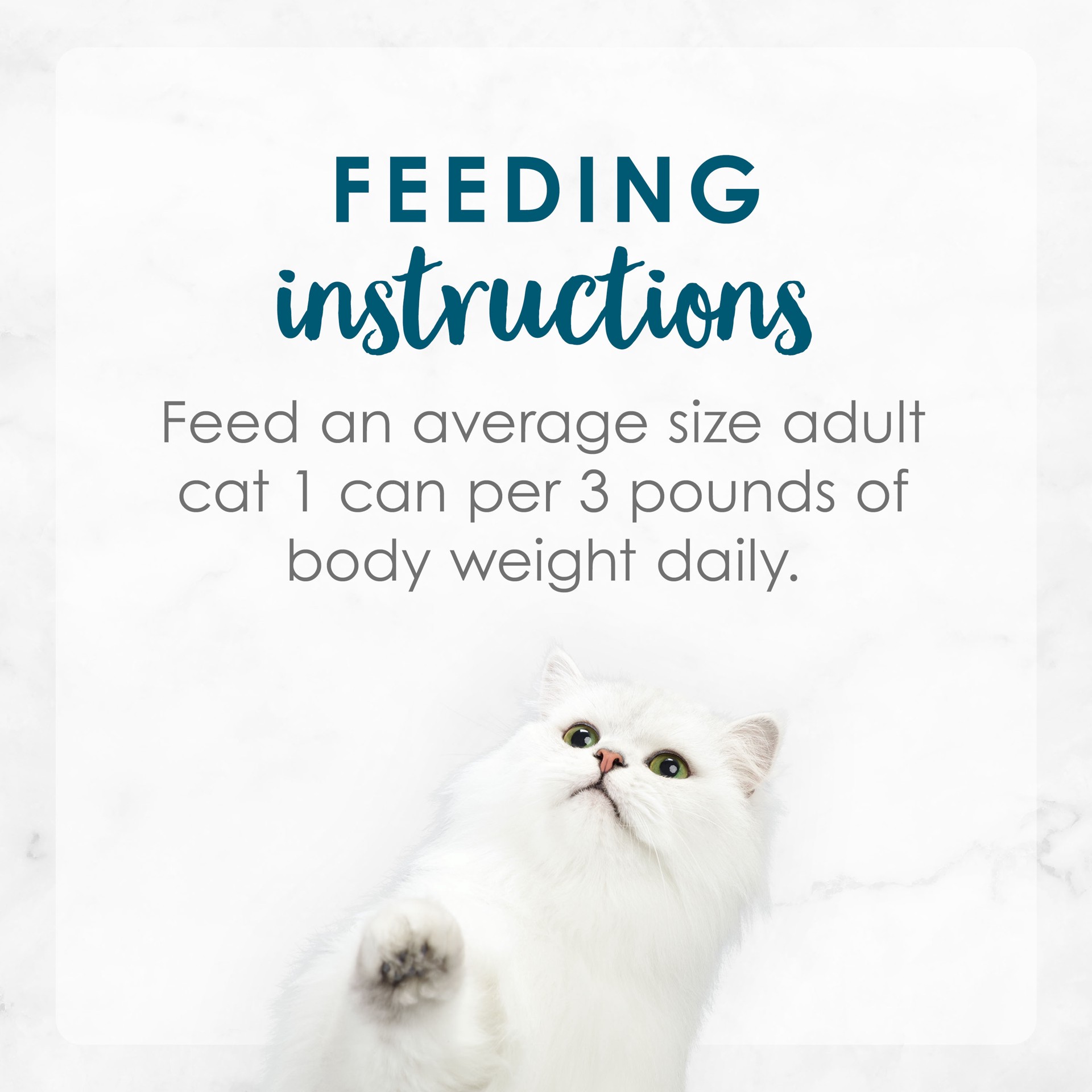 slide 5 of 9, Fancy Feast Purina Fancy Feast Cat Food Fancy Feast Tuna Fest Minced, 3 oz