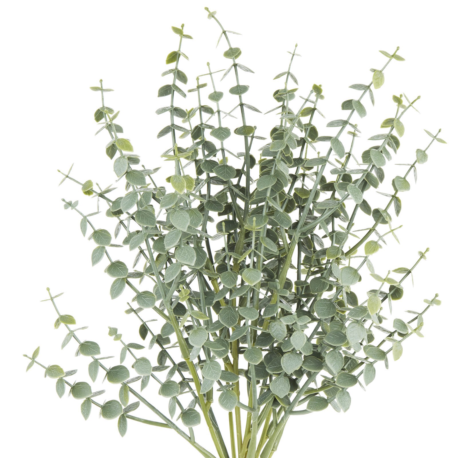 slide 2 of 2, Eucalyptus Bush By Ashland, 12 in x 10 in x 15 in