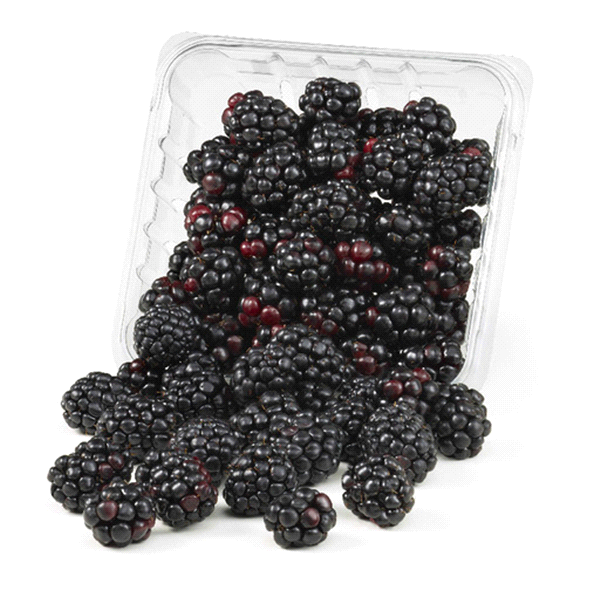 slide 1 of 1, Driscoll's Organic Blackberries, 6 oz