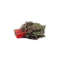 Red Chard Swiss