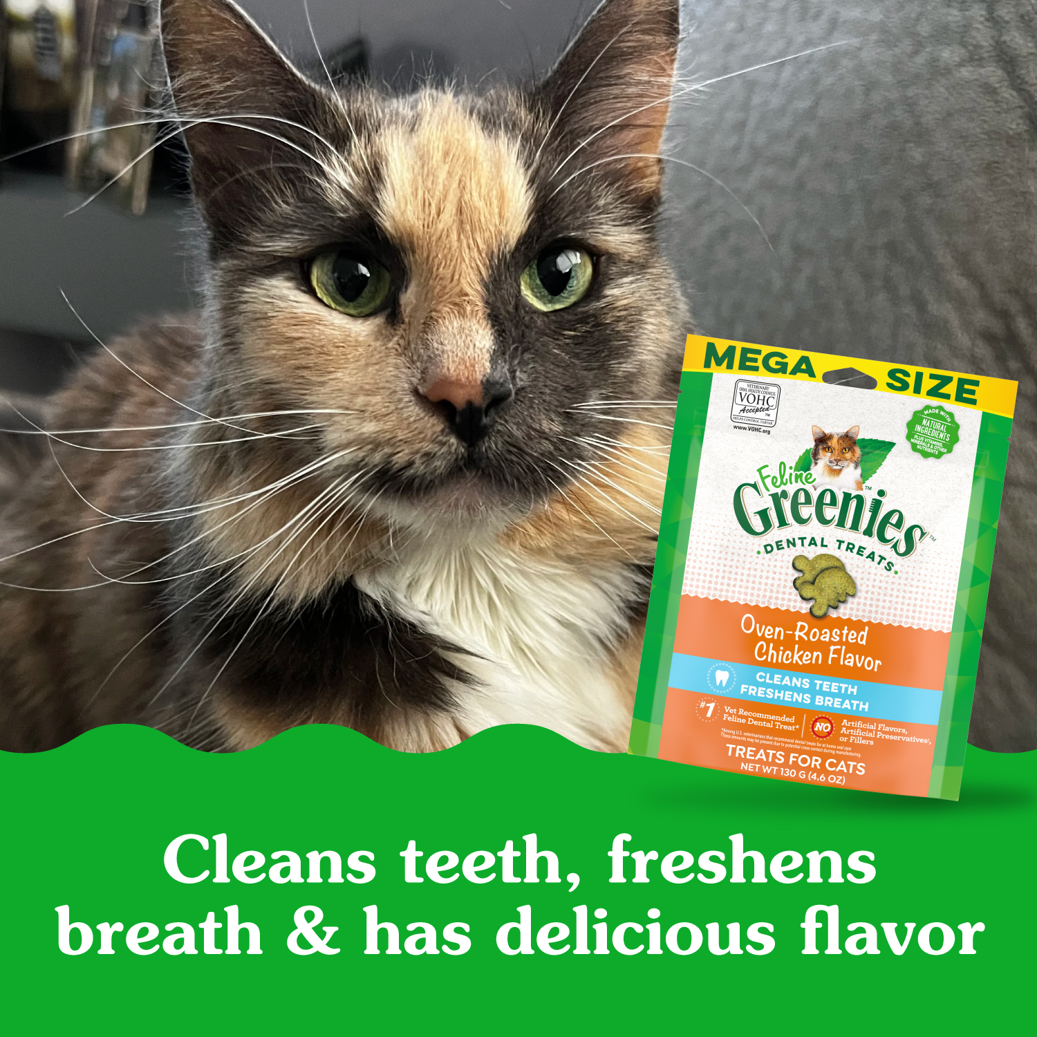 slide 2 of 8, Greenies Premium Dental Treats Oven Roasted Chicken Flavor Cat Treats Mega Size 130 g, 4.6 oz