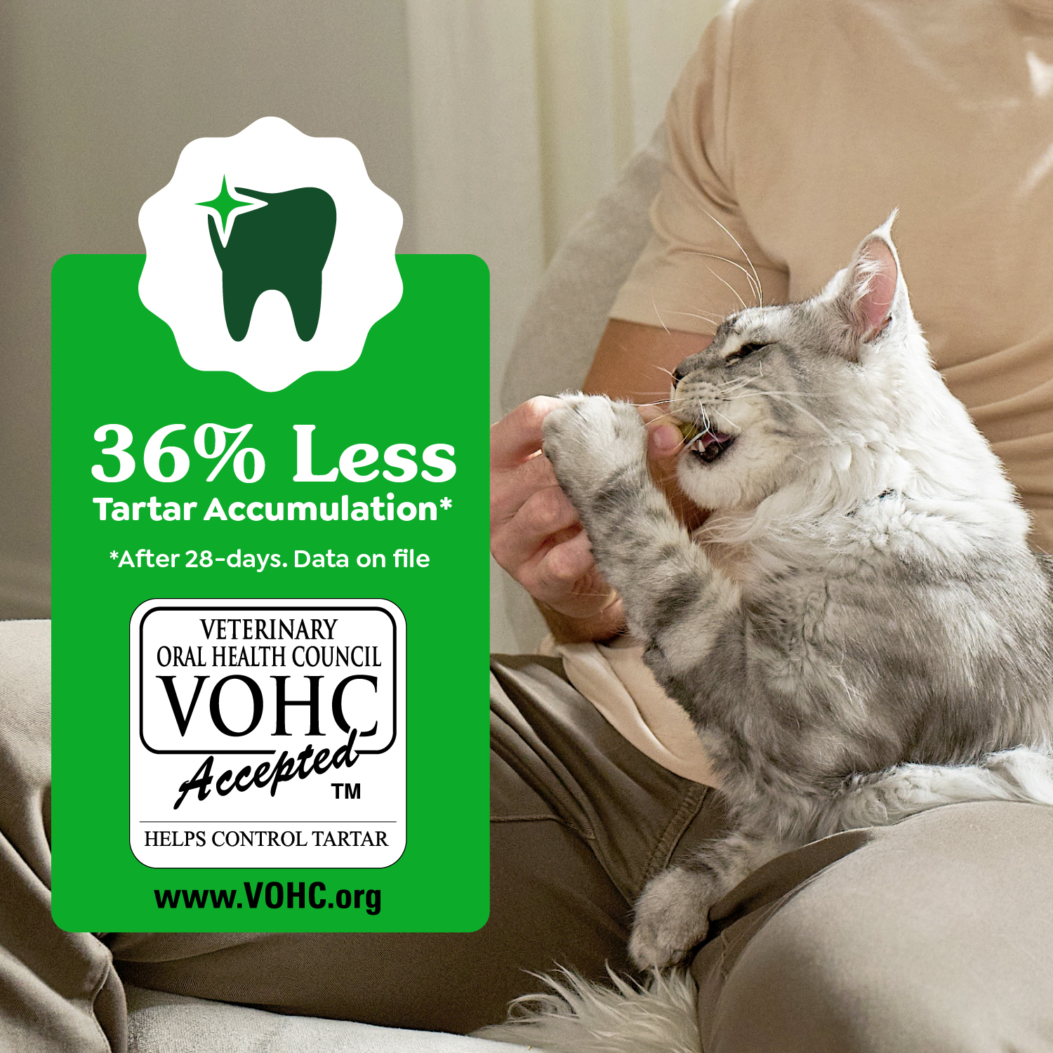 slide 4 of 8, Greenies Premium Dental Treats Oven Roasted Chicken Flavor Cat Treats Mega Size 130 g, 4.6 oz