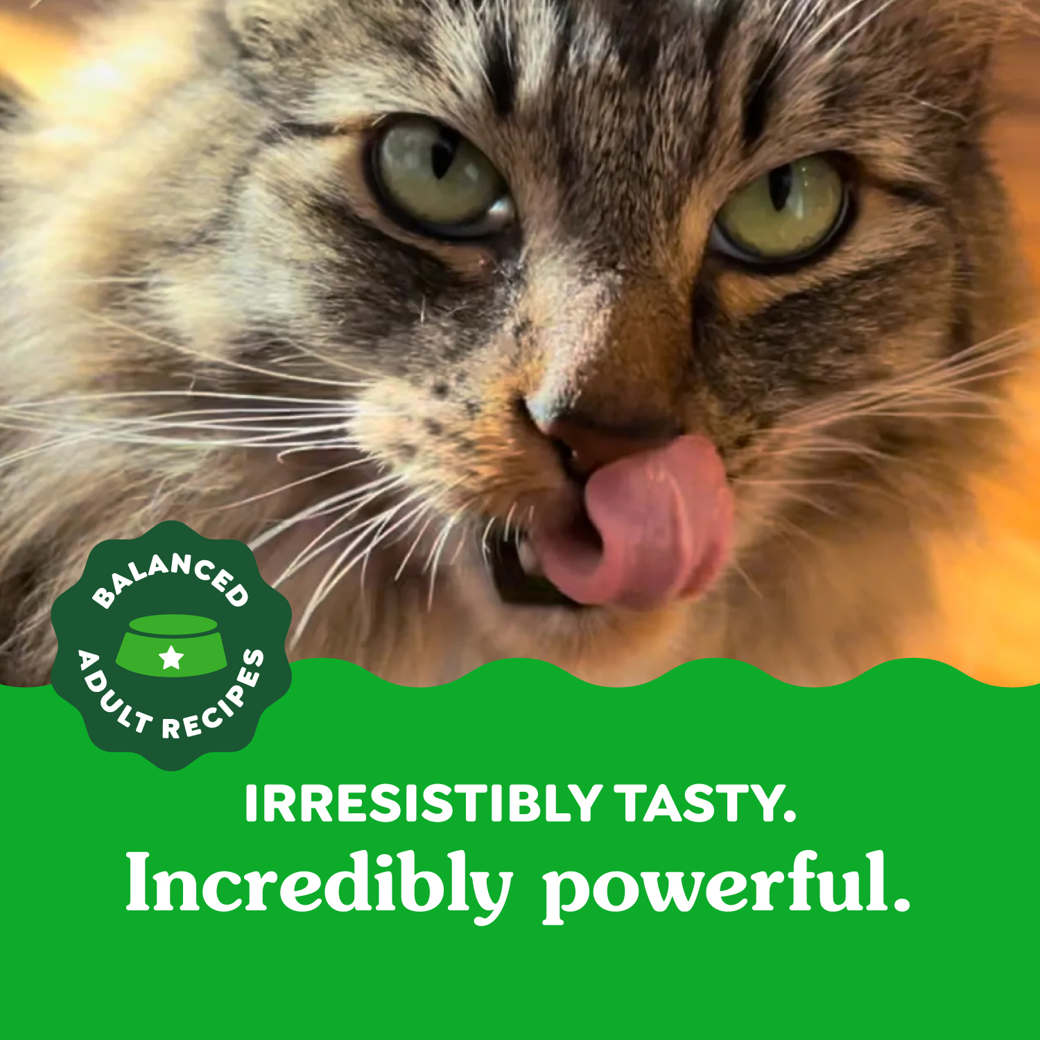slide 5 of 8, Greenies Premium Dental Treats Oven Roasted Chicken Flavor Cat Treats Mega Size 130 g, 4.6 oz