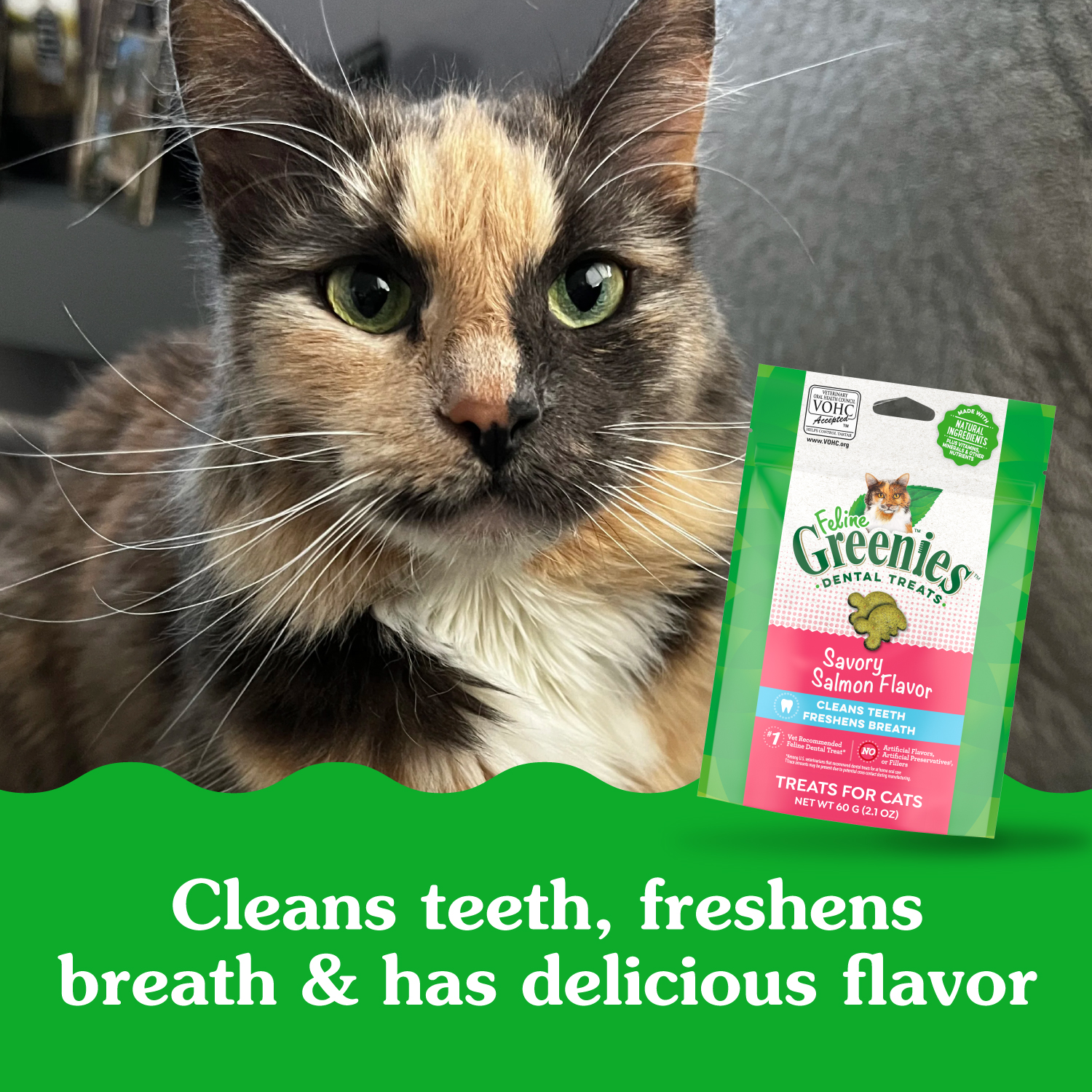 slide 2 of 8, Greenies Premium Dental Treats Savory Salmon Flavor Cat Treats 60 g, 2.1 oz