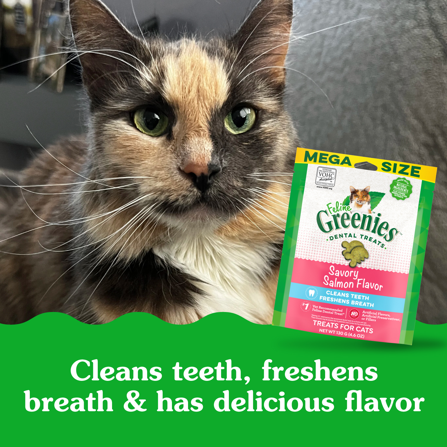 slide 2 of 8, Greenies Premium Dental Treats Savory Salmon Flavor Cat Treats Mega Size 130 g, 4.6 oz