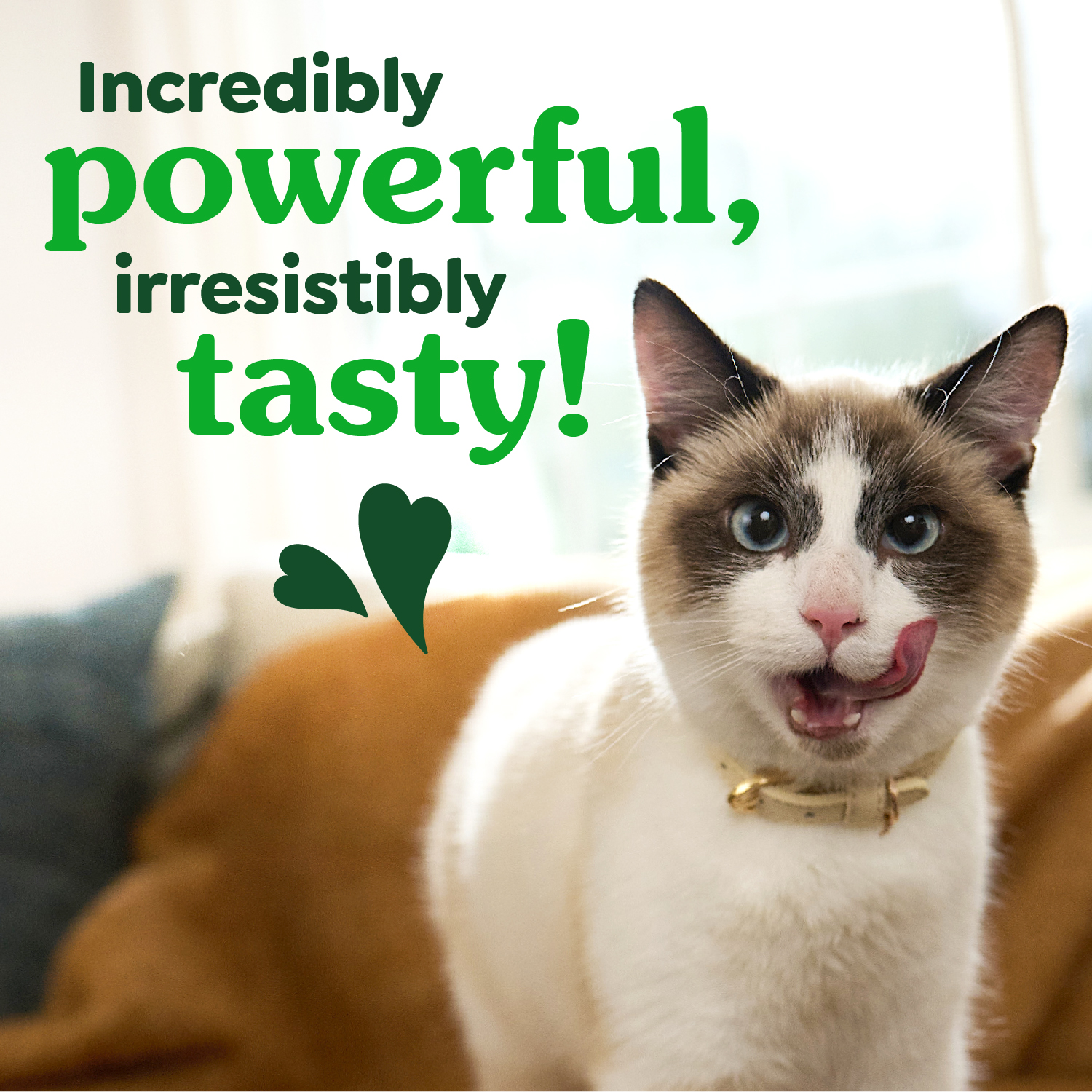 slide 3 of 8, Greenies Premium Dental Treats Savory Salmon Flavor Cat Treats Mega Size 130 g, 4.6 oz