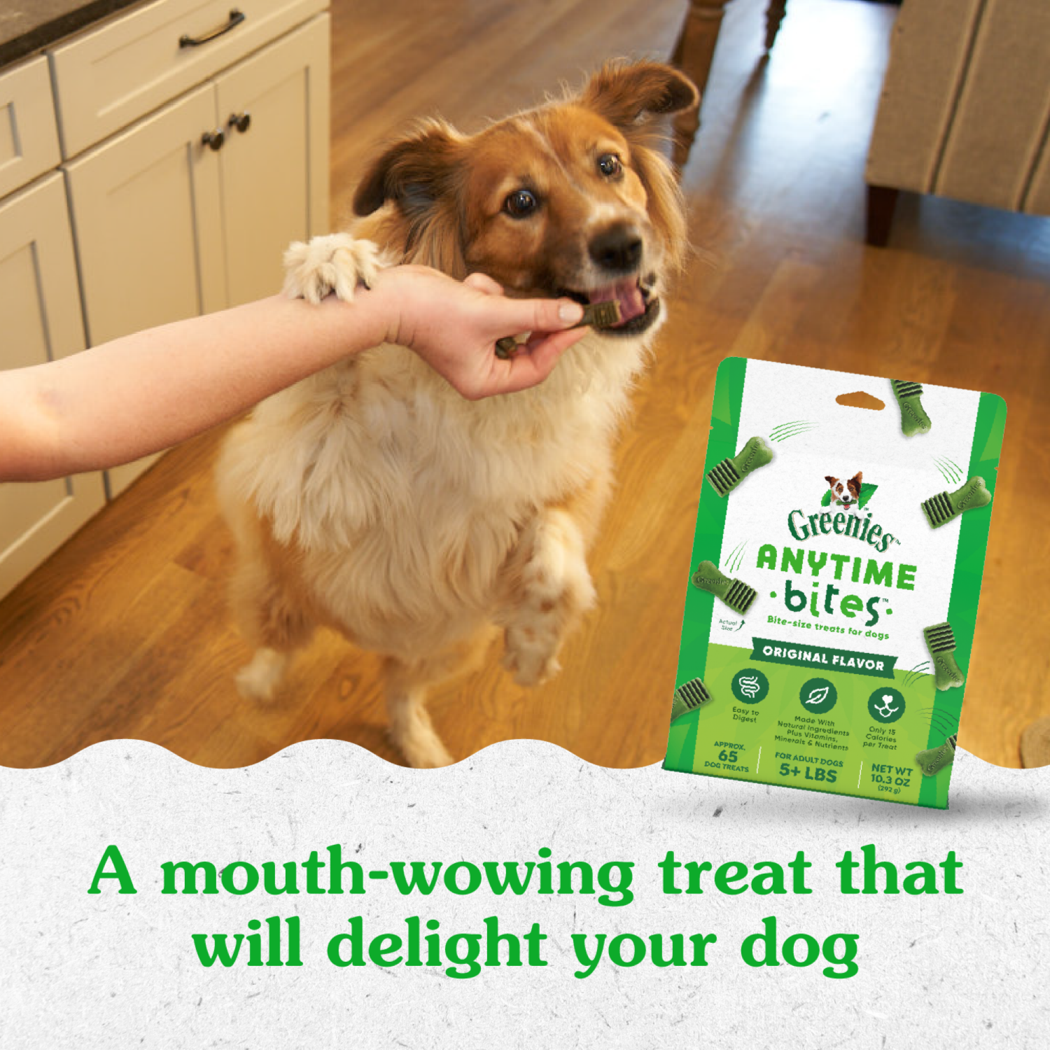 slide 2 of 8, Greenies Anytime Bites Adult Dogs 5+ Lbs Original Flavor Dog Treats Bite-Size 10.3 oz, 10.3 oz