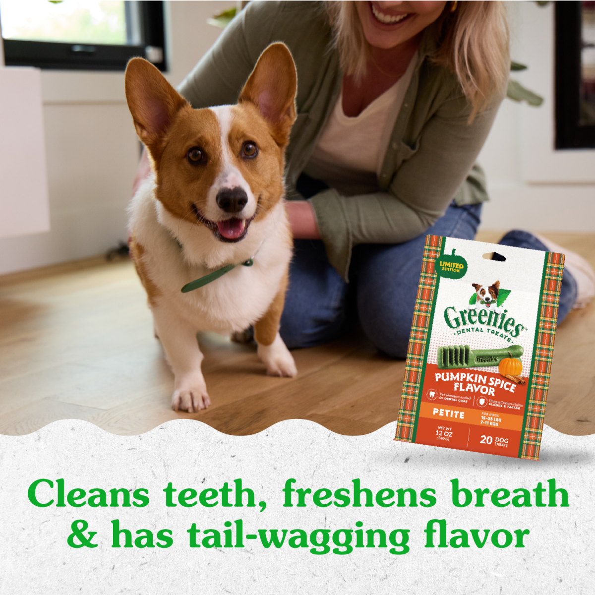 slide 7 of 8, Greenies Dental Treats Pumpkin Spice Flavor, Petite Adult Dog Treats, 6 oz. Pack (10 Treats), 6 oz