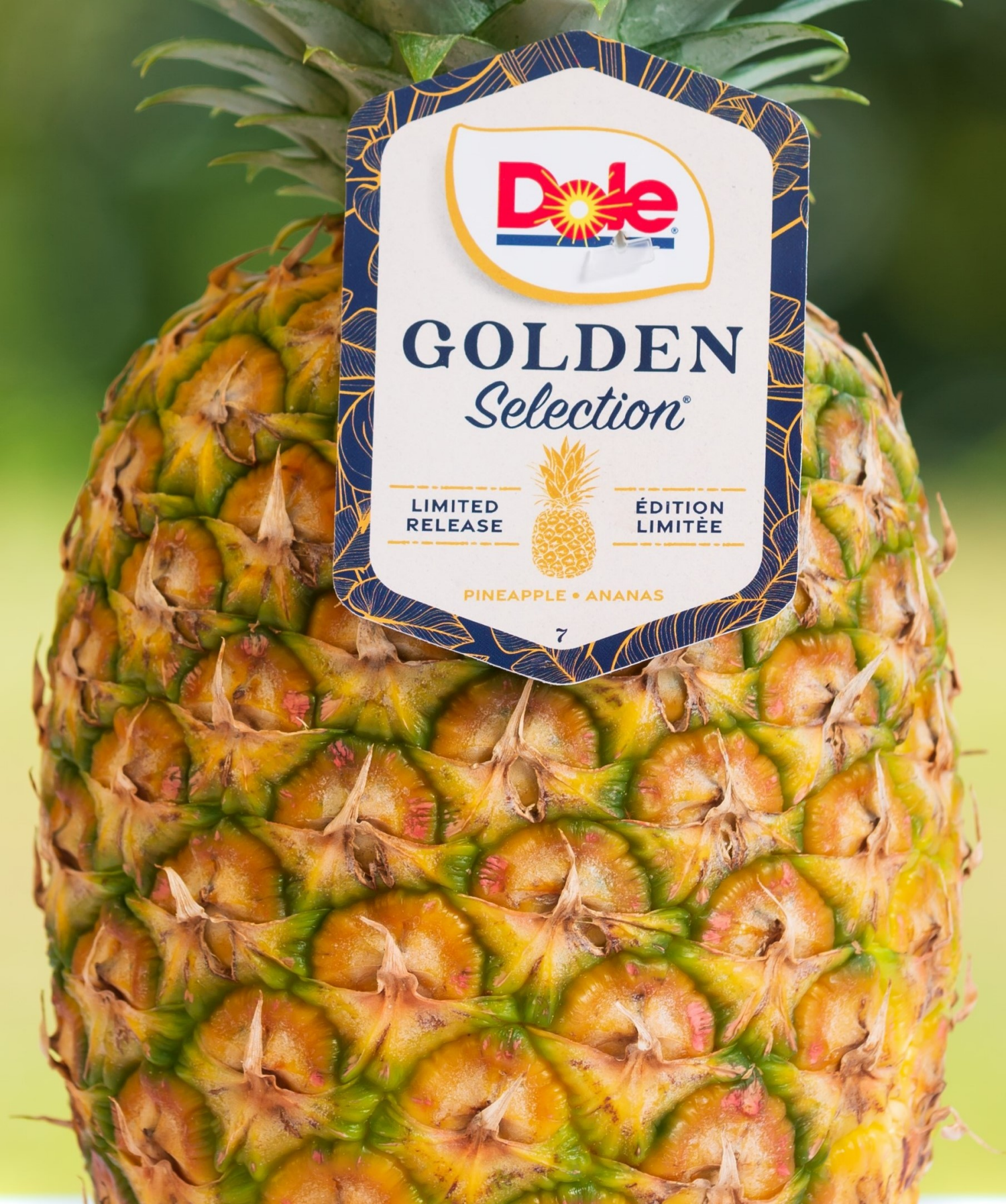 slide 2 of 2, Dole Golden Selection Pineapple, 1 ct