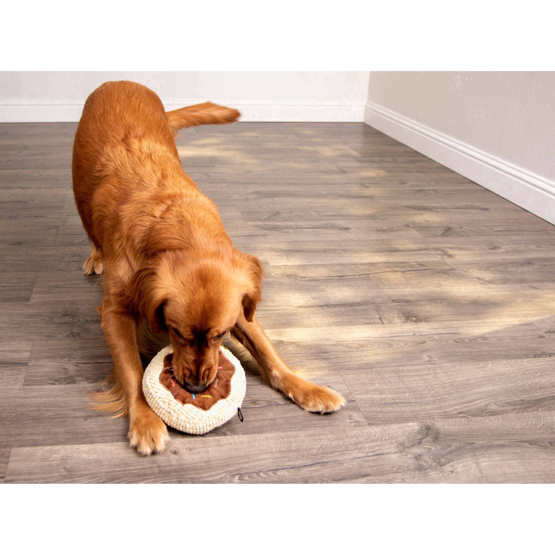 slide 16 of 17, TrustyPup Toy 1 ea, 1 ct