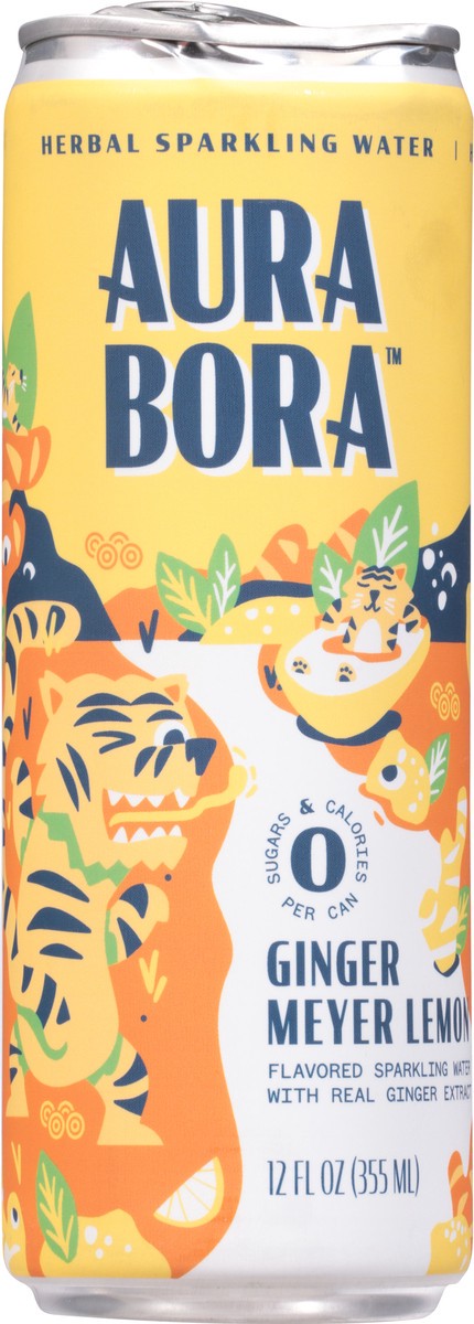 slide 6 of 9, Aura Bora Ginger Meyer Lemon Sparkling Water, 12 fl oz