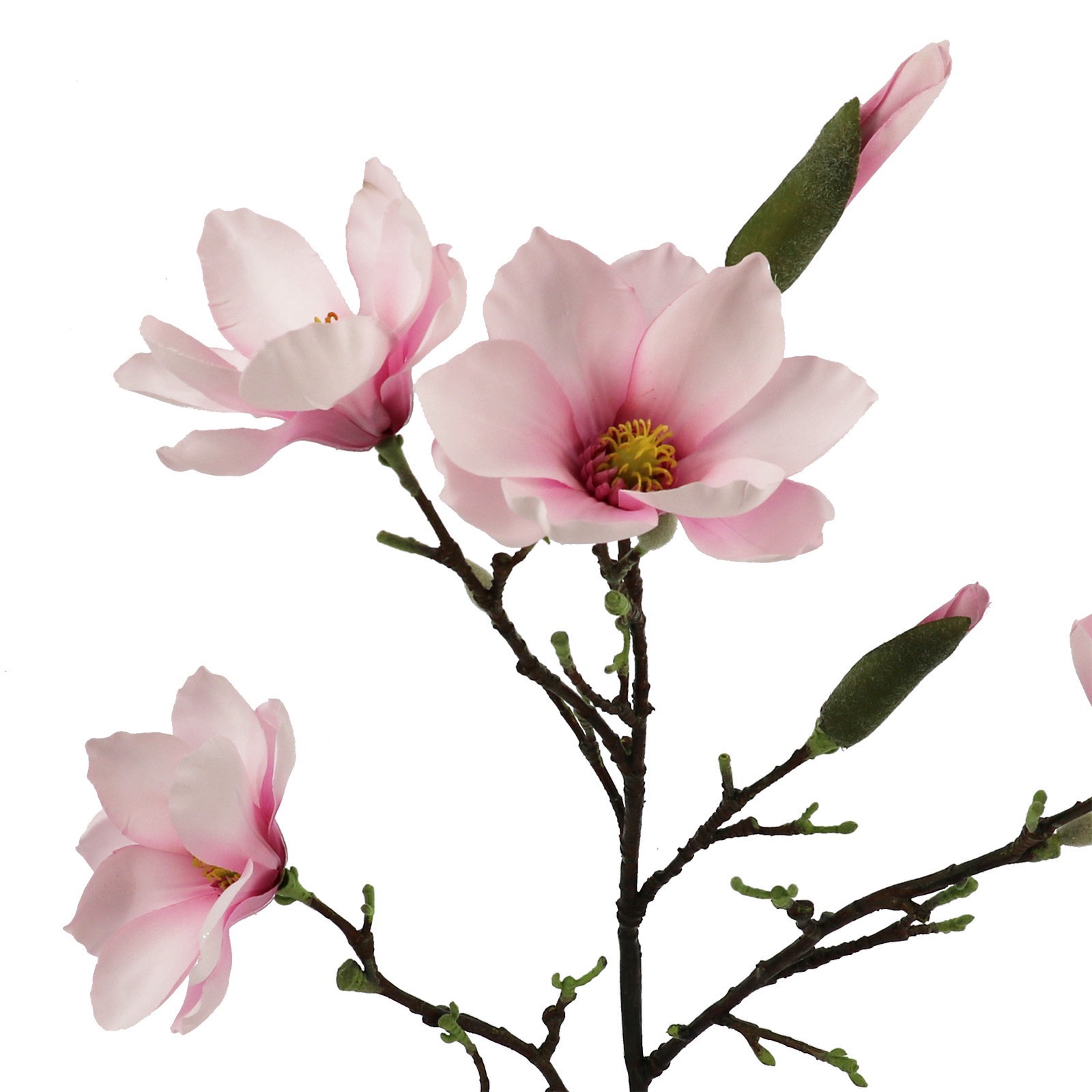 slide 2 of 3, 40" Magnolia Oversized Stem By Ashland, 15 in x 15 in x 40 in