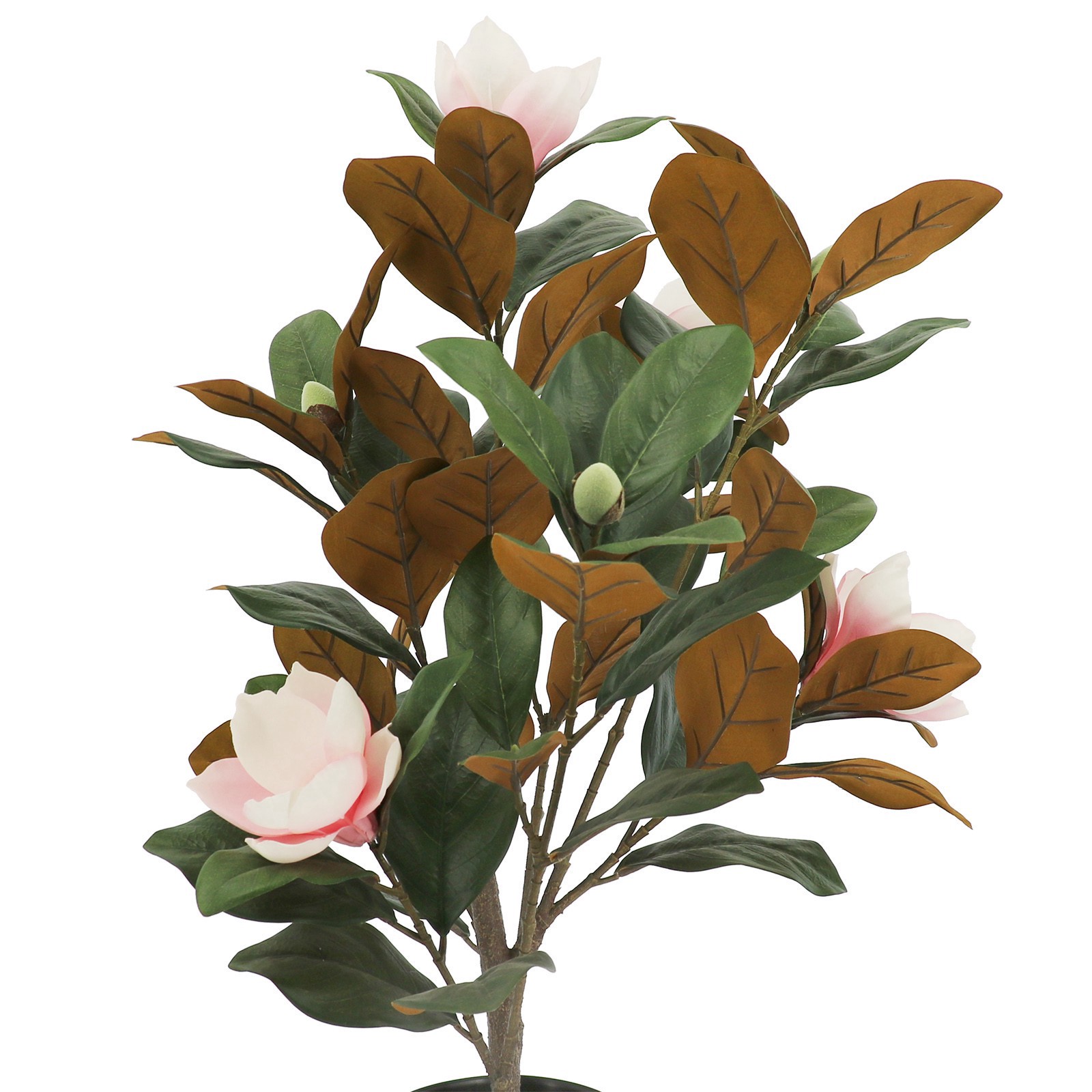 slide 2 of 2, 2.5ft. Potted Pink Magnolia Tree By Ashland, 20 in x 19 in x 30 in