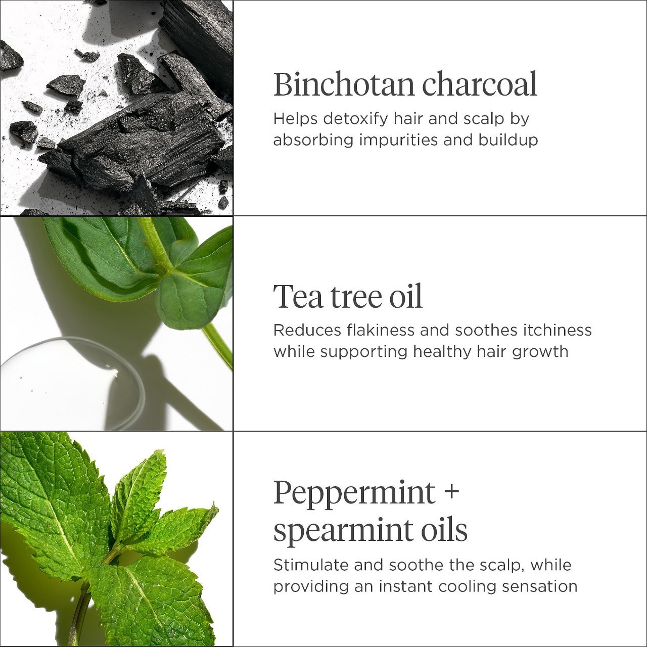 slide 5 of 8, Briogeo Scalp Revival™ Charcoal + Tea Tree Cooling Hydration Mask for Dry, Itchy Scalp 6 oz/ 177 mL,