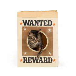 Pet Halloween Thrills & Chills™ Halloween Wanted Sack Cat Toy