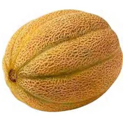 Melons Small Cantaloupe