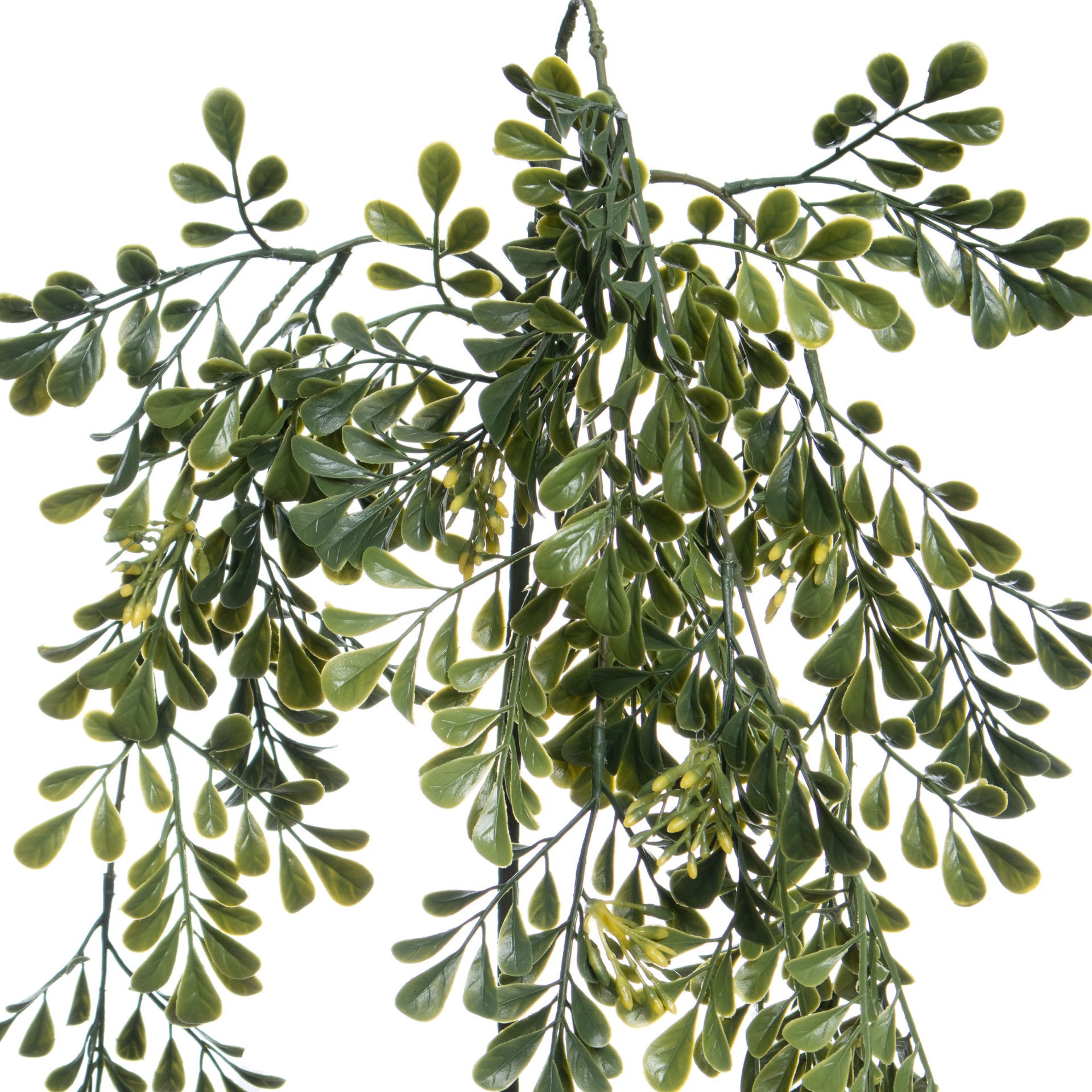 slide 2 of 3, 31" Hanging Seeded Boxwood Stem By Ashland, 31 in