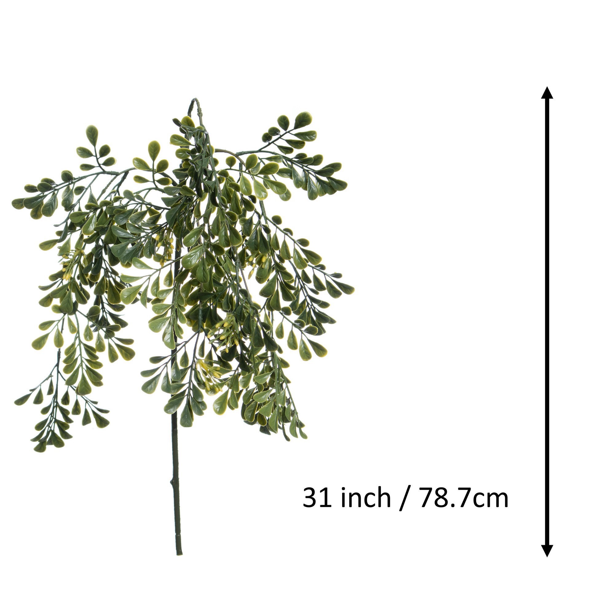 slide 3 of 3, 31" Hanging Seeded Boxwood Stem By Ashland, 31 in