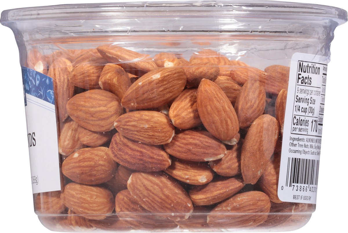 slide 8 of 13, Klein Natural Raw Almonds - 9.5 Oz, 9.5 oz