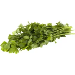 Italian Parsley Bunch
