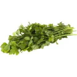 Italian Parsley Bunch