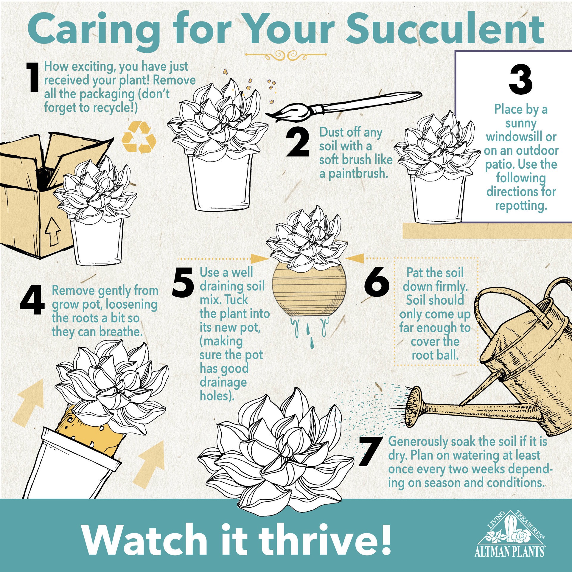 slide 5 of 6, Charlie's Produce 9Cm Succulent, 11 oz