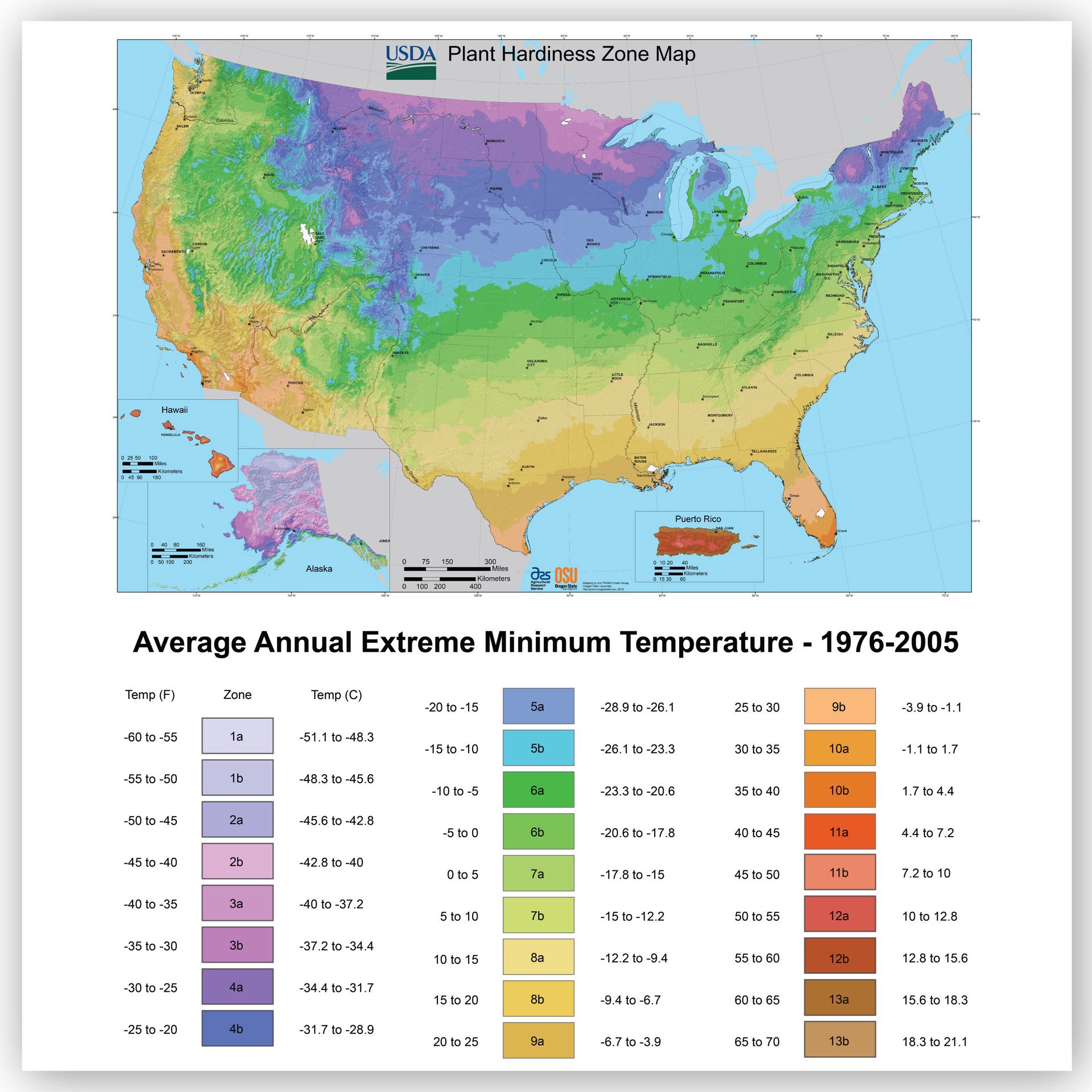 slide 3 of 6, Charlie's Produce 9Cm Succulent, 11 oz