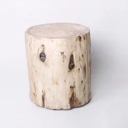 Faux Wood Stump Indoor/Outdoor Accent Table Natural - Project 62