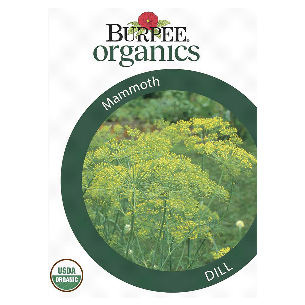 slide 1 of 5, Burpee Organic Dill Mammoth Seeds, 1 ct