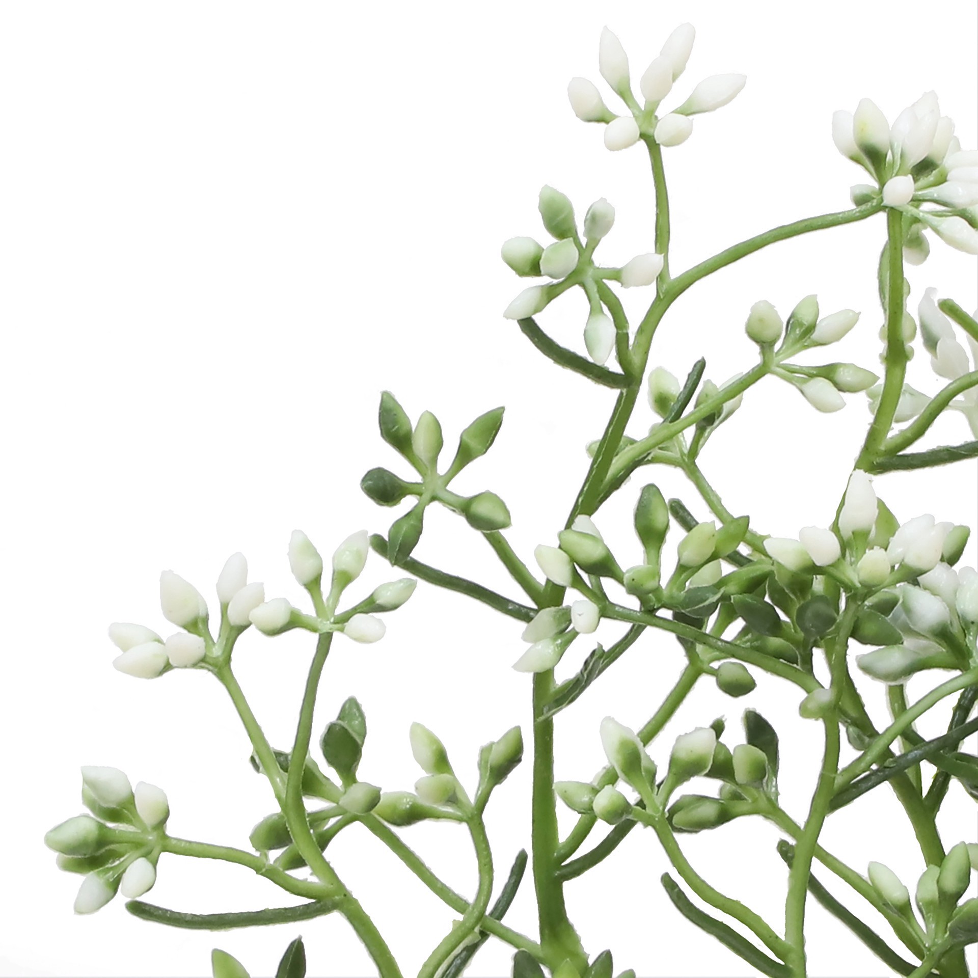 slide 2 of 3, 12.5 in Seed Pick by Ashland, 12.5 in