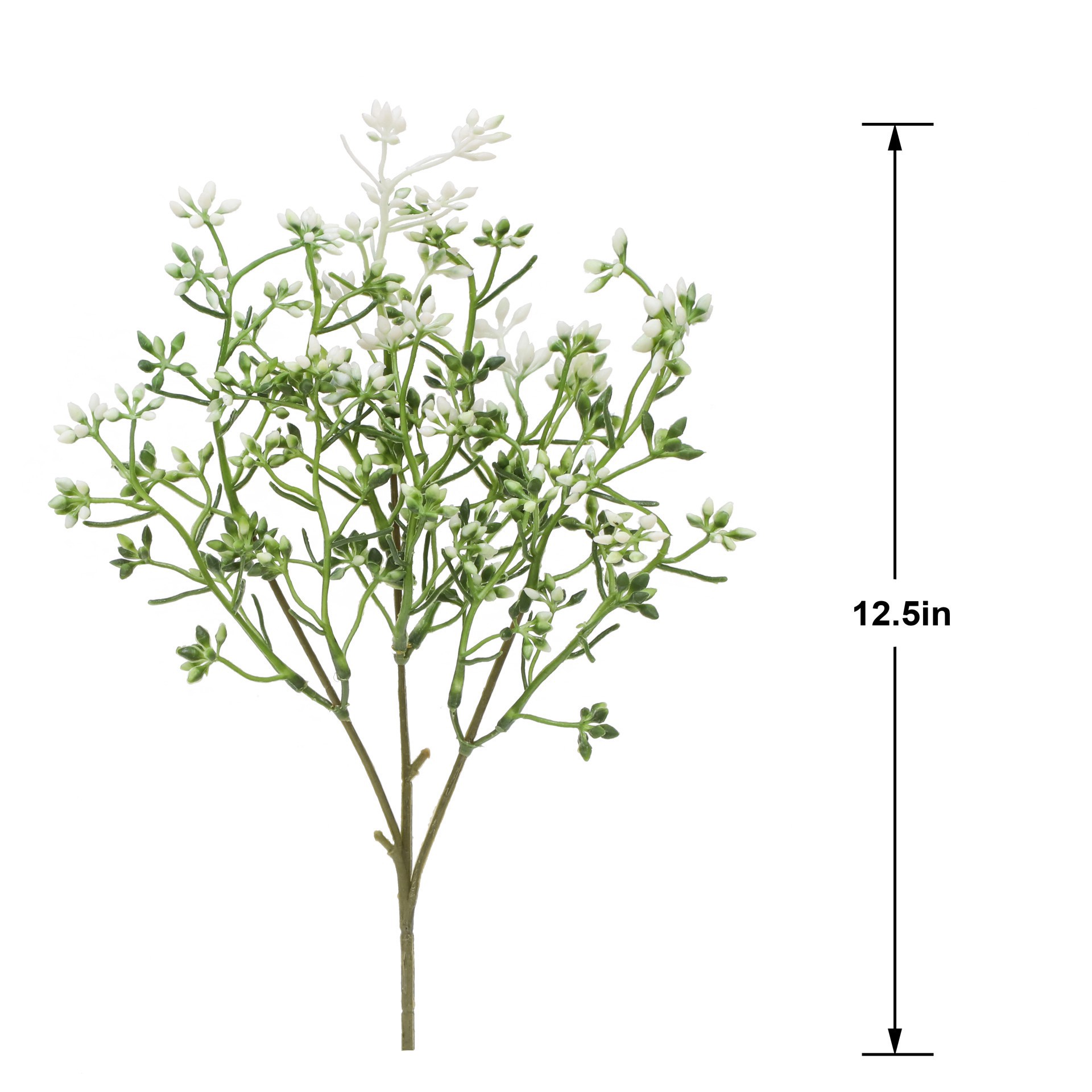 slide 3 of 3, 12.5 in Seed Pick by Ashland, 12.5 in