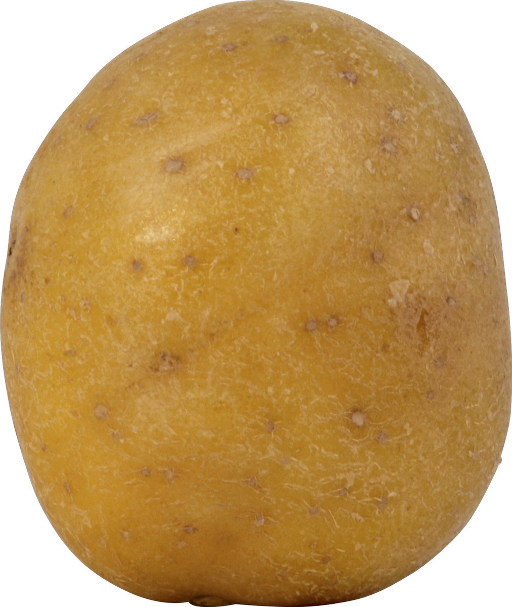 slide 1 of 1, Harvest Club Yukon Gold Potatoes, 2 lb