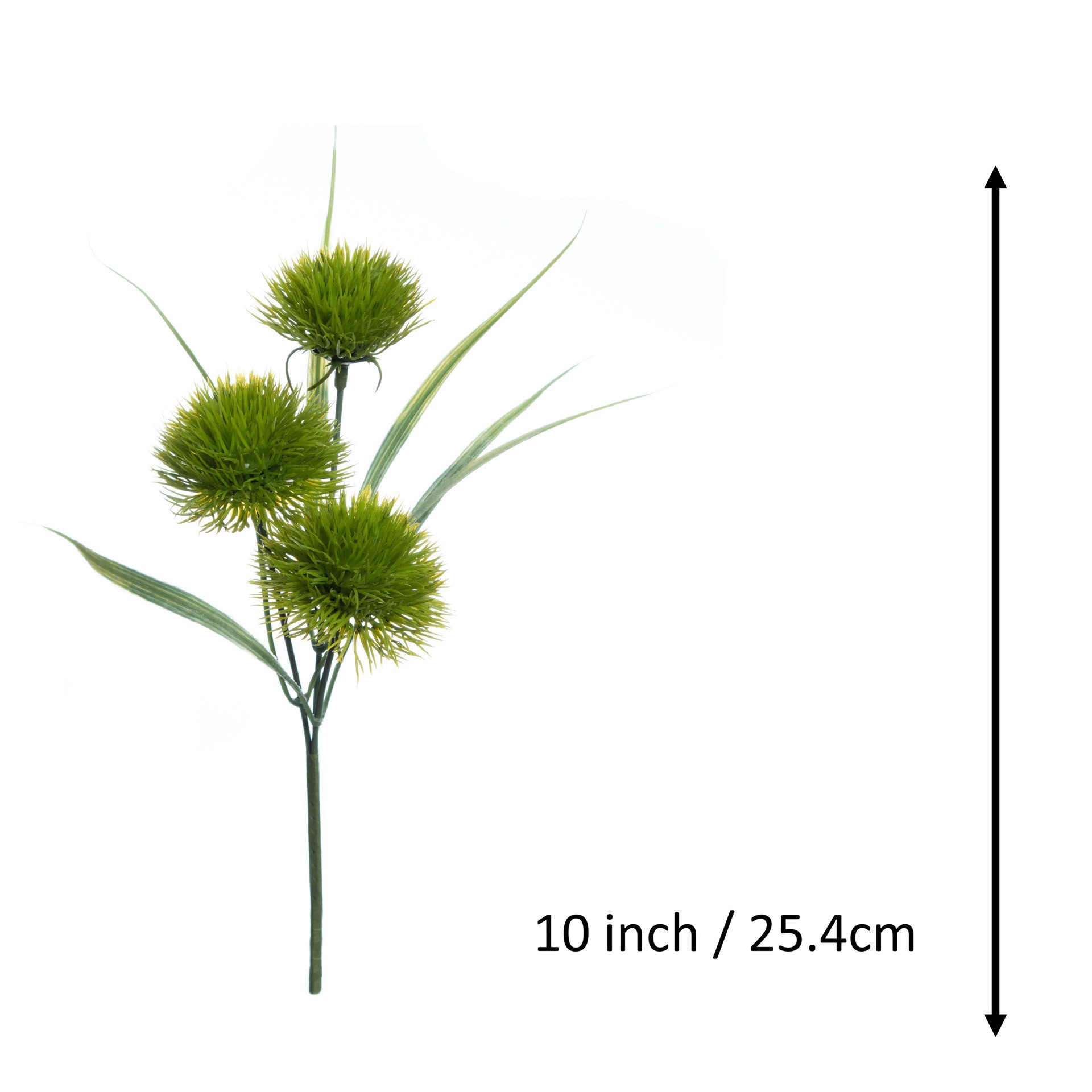 slide 2 of 3, 10" Green Carnation Pick By Ashland, 4 in x 3 in x 10 in