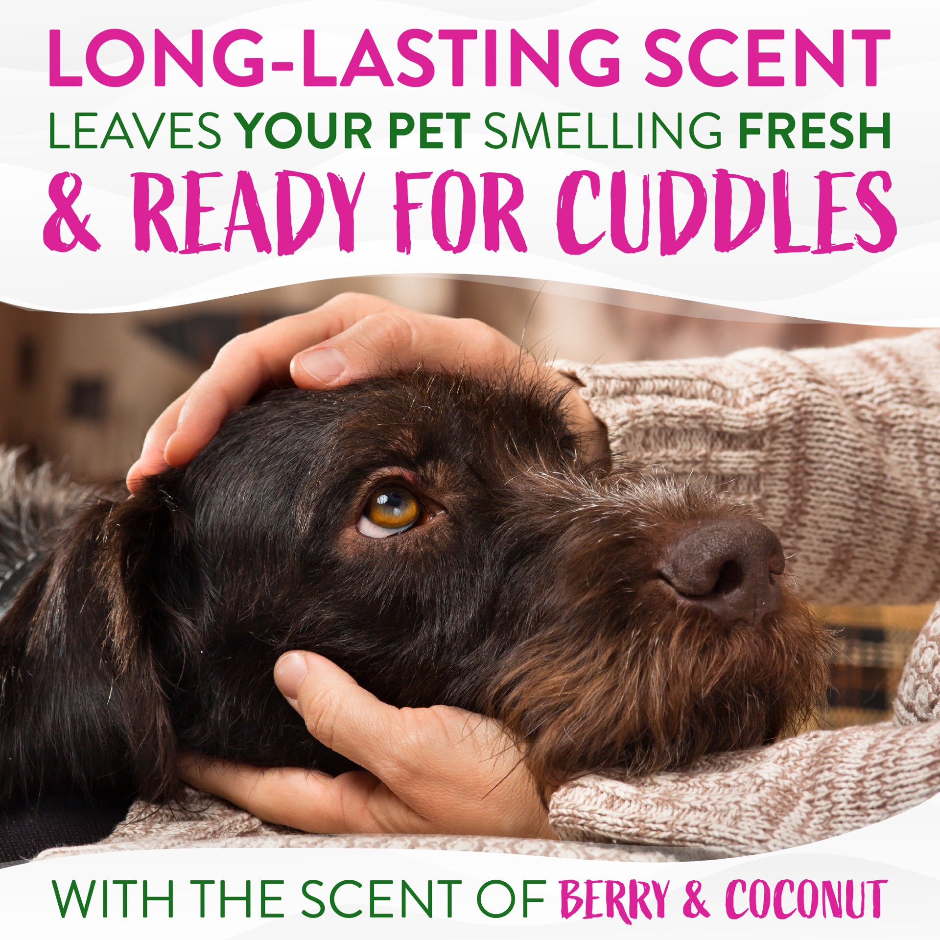 slide 3 of 10, TropiClean Deep Cleansing Waterless Dog Shampoo, 7.4oz, 7.4 oz