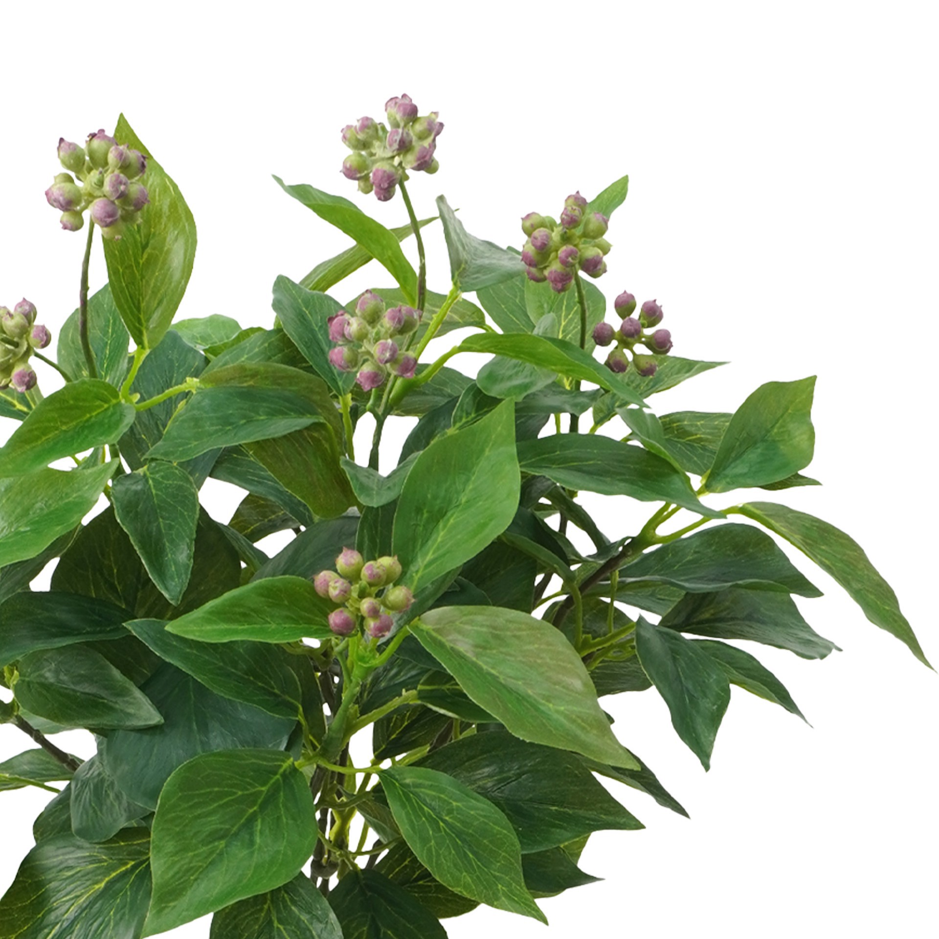 slide 3 of 4, 17" Fruiting Ivy Busy By Ashland, 14 in x 14 in x 17 in