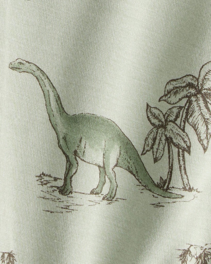 slide 3 of 5, Carter's Carters Baby Boy 2-Pack Dinosaur Print PurelySoft Pull-On Pants - Green Green 12M, 1 ct