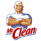 slide 1 of 1, Mr. Clean Cham-it Cleaning Cloth, 1 ct