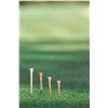 slide 7 of 13, PrideSports Golf Tees PTS Natural 3, 1 ct