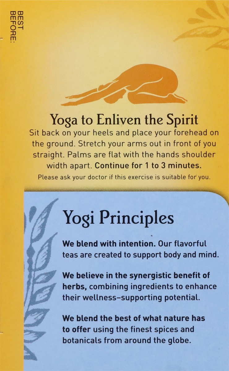 slide 6 of 9, Yogi Teas Organic Caffeine Free Stomach Ease Tea, 16 ct