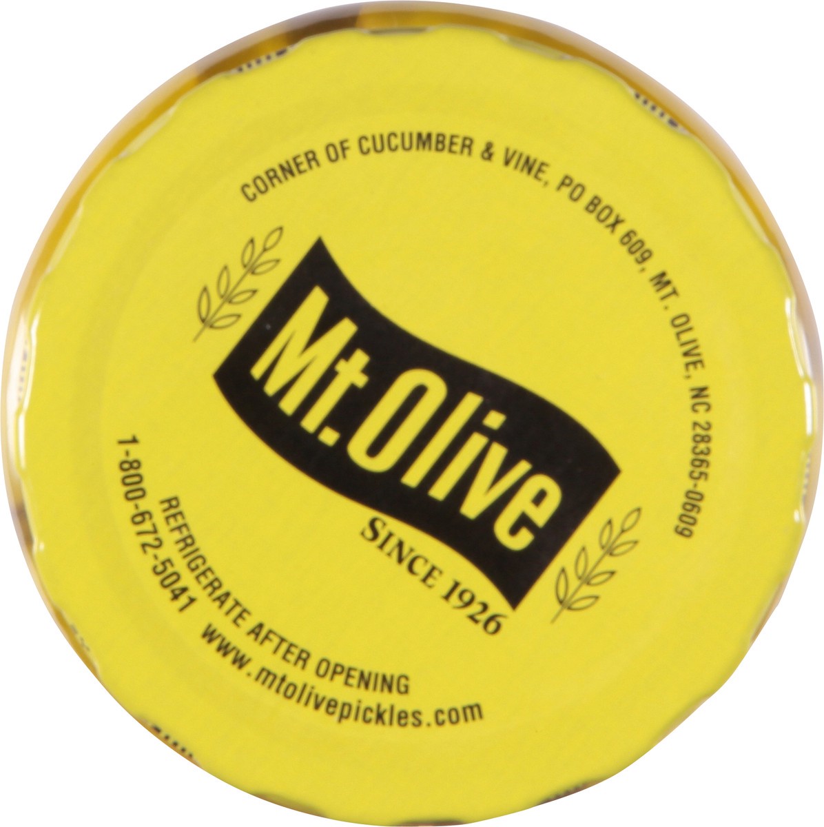 slide 4 of 14, Mt. Olive Sandwich Stuffers Kosher Dill 16 fl oz, 16 fl oz