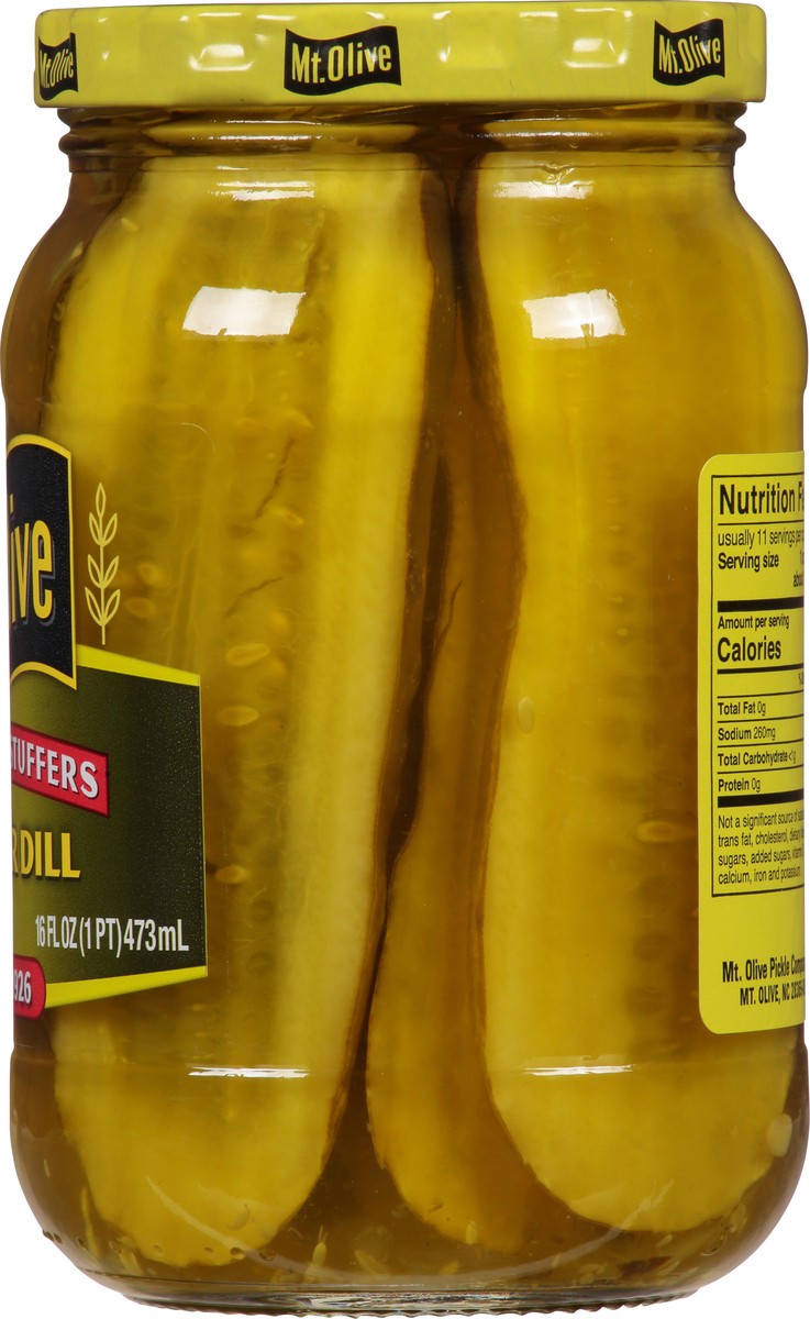 slide 10 of 14, Mt. Olive Sandwich Stuffers Kosher Dill 16 fl oz, 16 fl oz