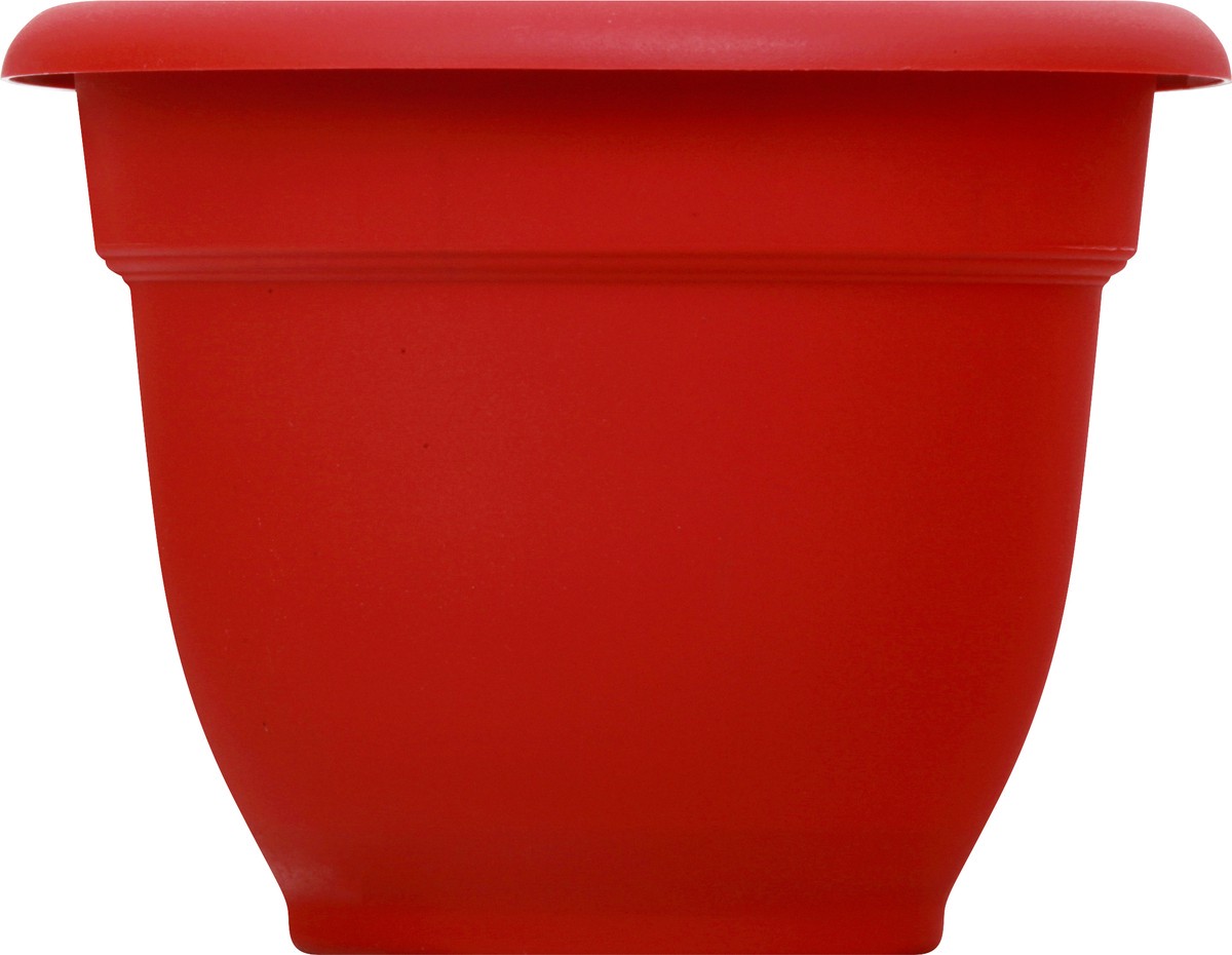 slide 3 of 9, Bloem Burnt Red Ariana Planter 6In, 1 ct