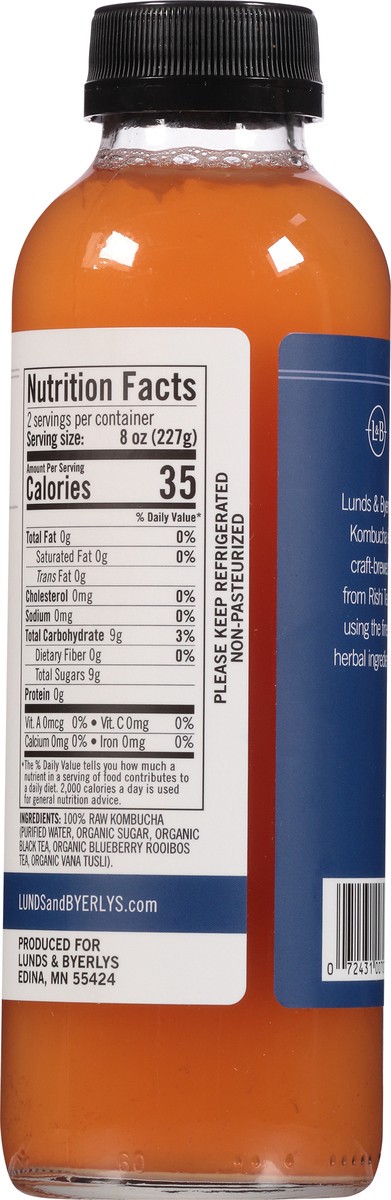 slide 9 of 9, Lunds & Byerlys Blueberry Basil Kombucha 16 fl oz, 16 fl oz