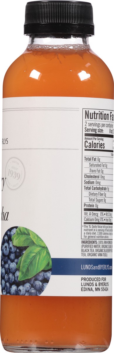 slide 7 of 9, Lunds & Byerlys Blueberry Basil Kombucha 16 fl oz, 16 fl oz