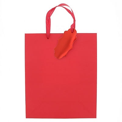 slide 1 of 1, IG Design Group Large Red Gift Bag, 1 ct