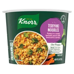 Knorr Pasta Cup Teriyaki Noodles 2.6 oz