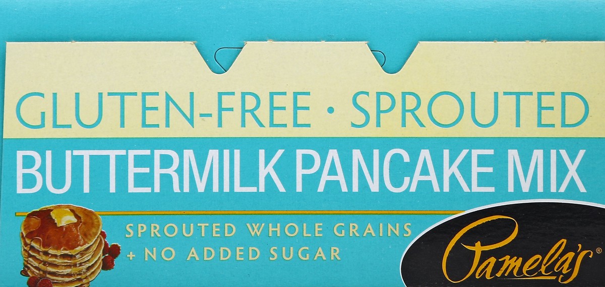 slide 2 of 4, Pamela's Gluten Free Sprouted Buttermilk Pancake Mix, 12 oz